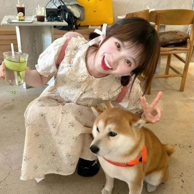 奇客和冲的动画大电影
